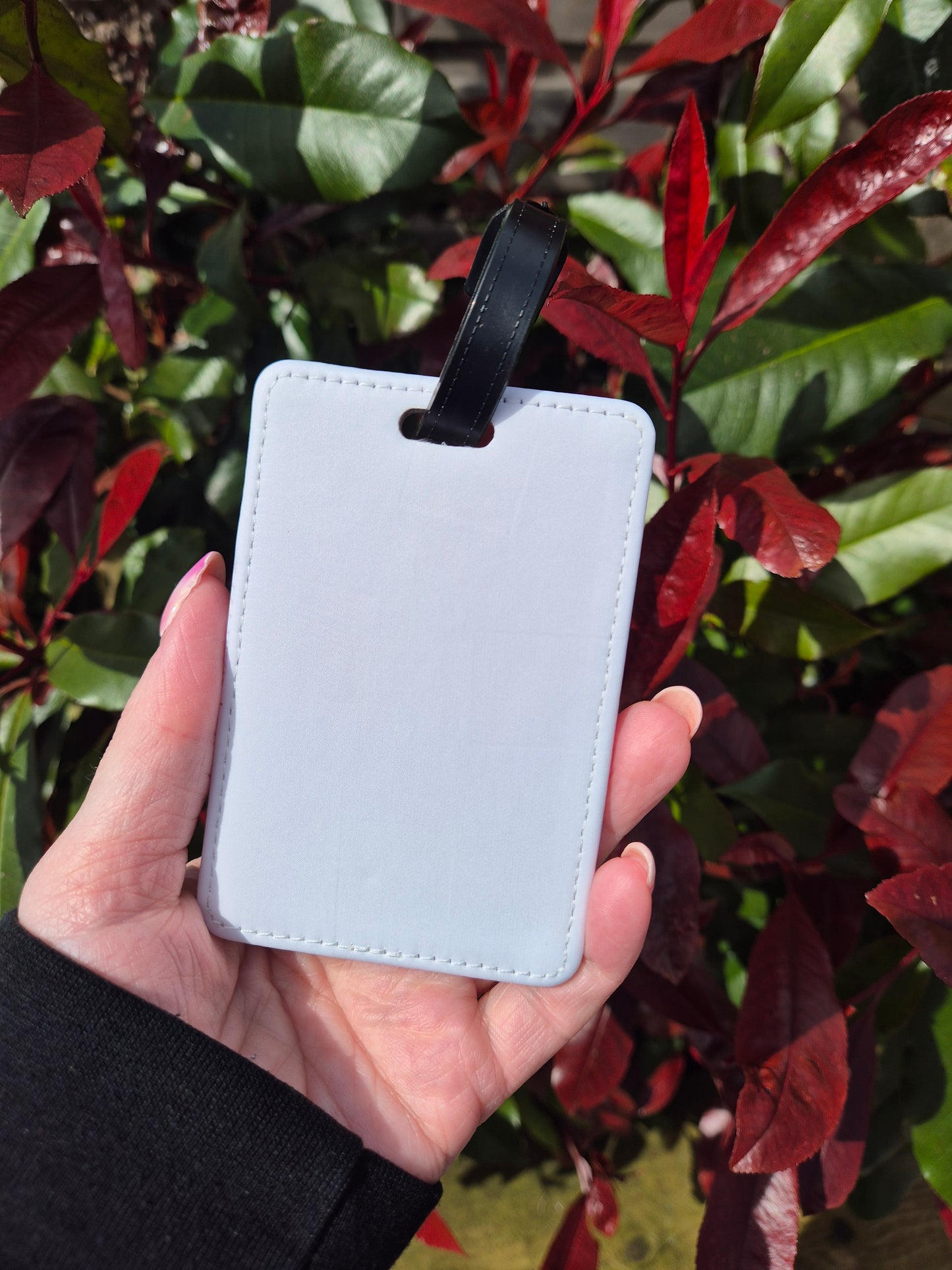 Rainbow & Mushrooms Luggage Tag and Passport Cover