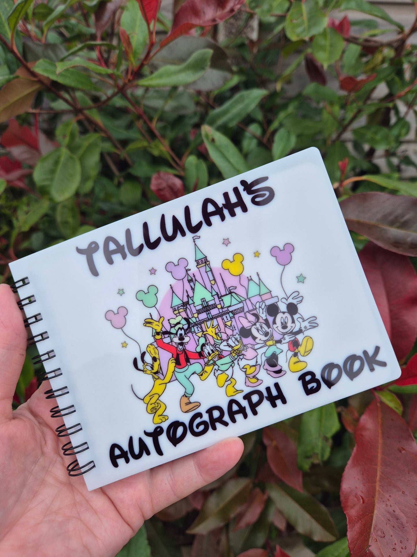 Personalised Friends & Castle Autograph Book